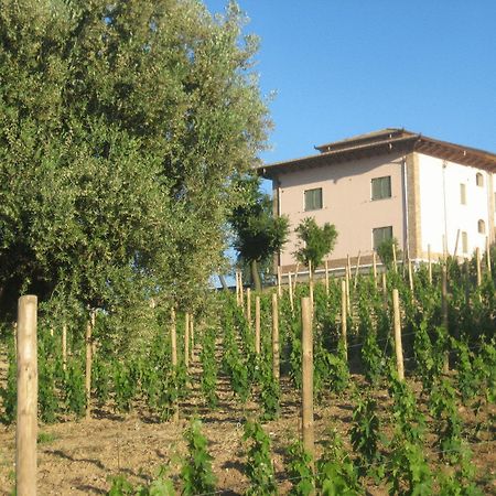 L'Orso E L'Ape B&B Giulianova Exterior photo