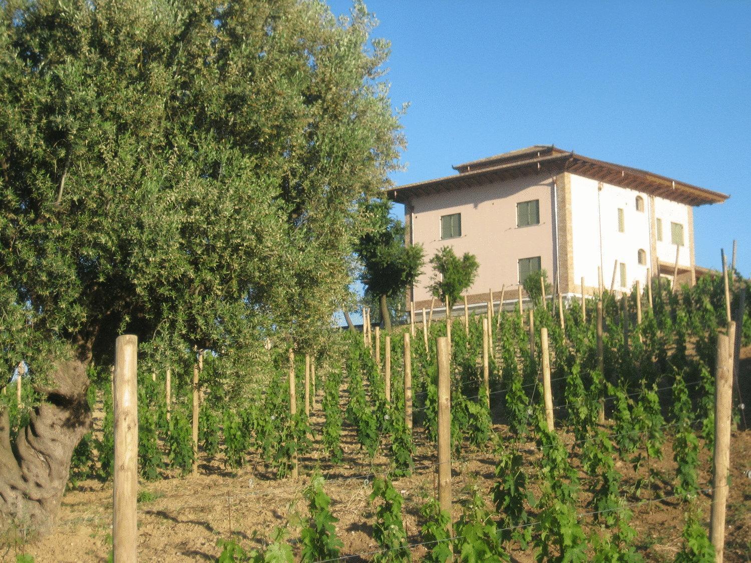 L'Orso E L'Ape B&B Giulianova Exterior photo