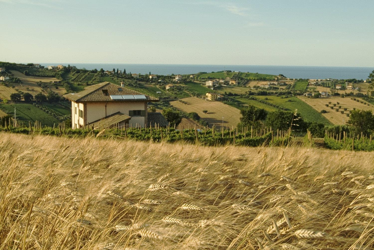 L'Orso E L'Ape B&B Giulianova Exterior photo