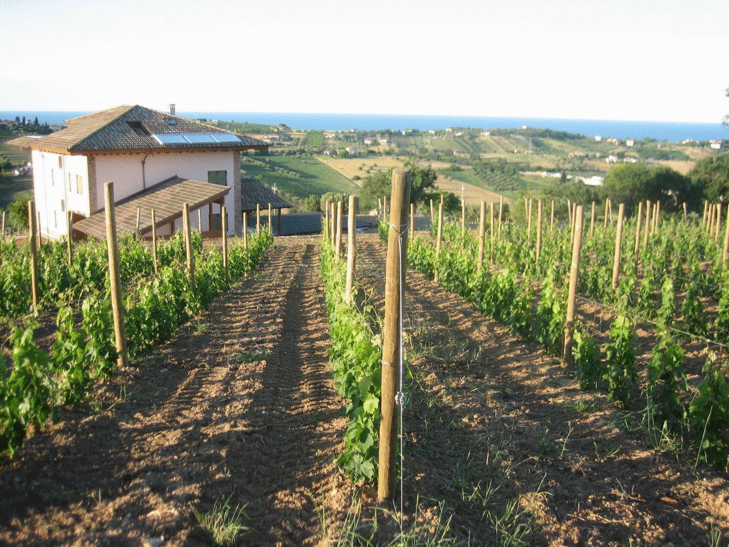 L'Orso E L'Ape B&B Giulianova Exterior photo