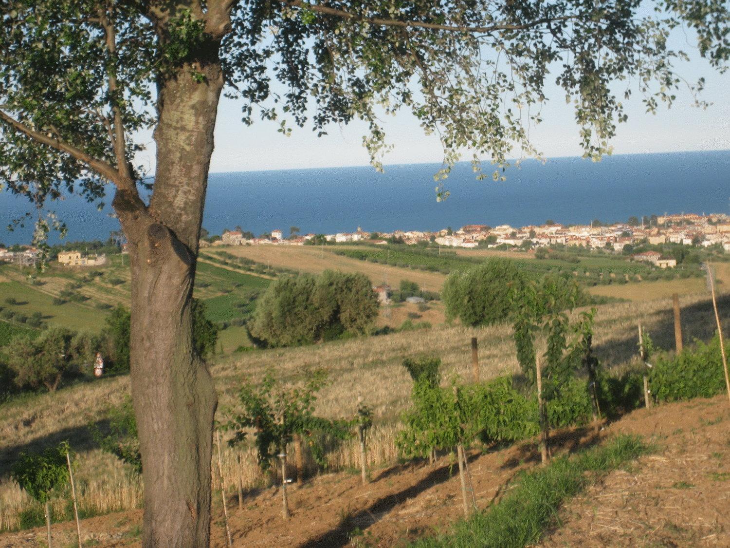 L'Orso E L'Ape B&B Giulianova Exterior photo