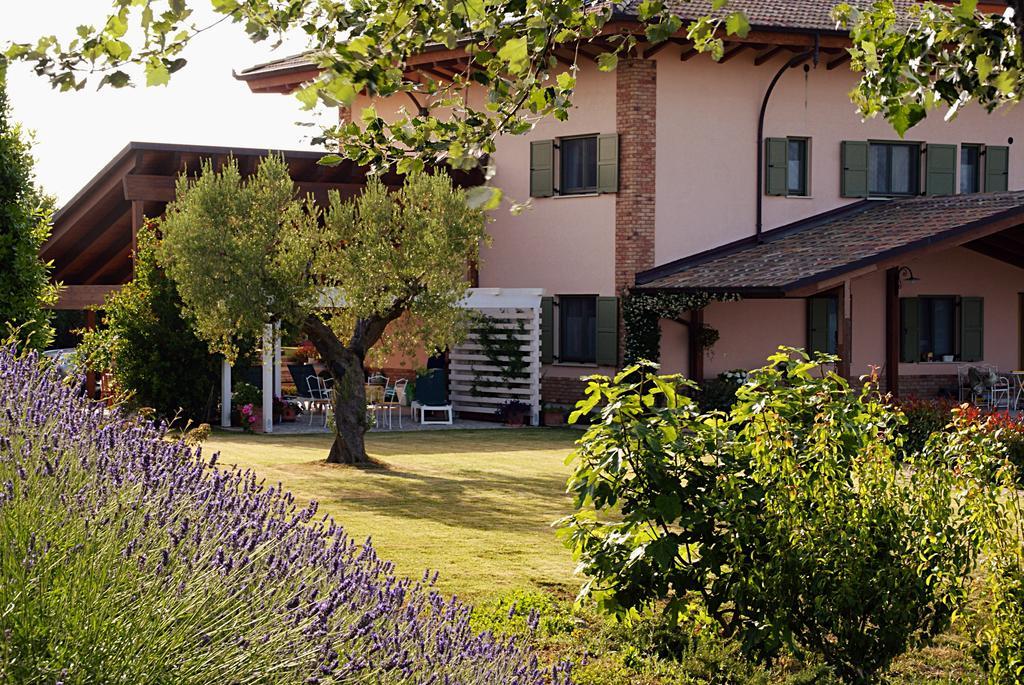 L'Orso E L'Ape B&B Giulianova Exterior photo